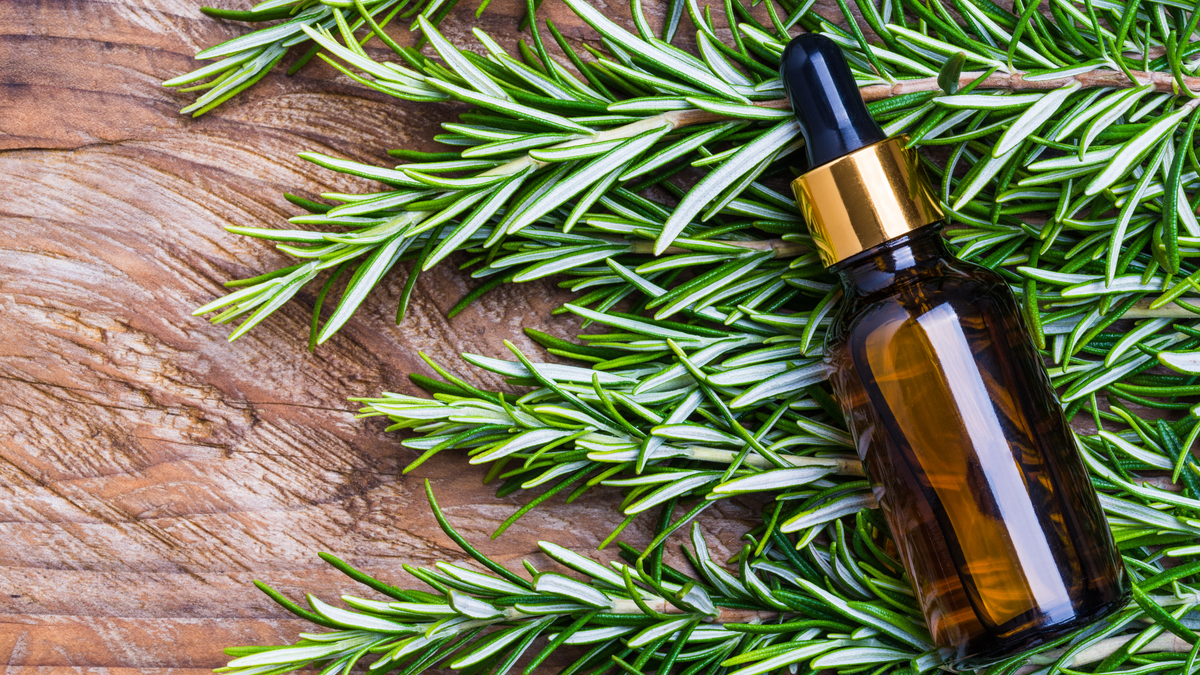 Bottle of oil among rosemary sprigs